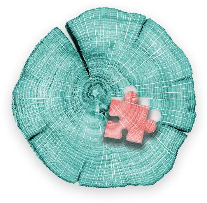 Homepage---Image-1---V2